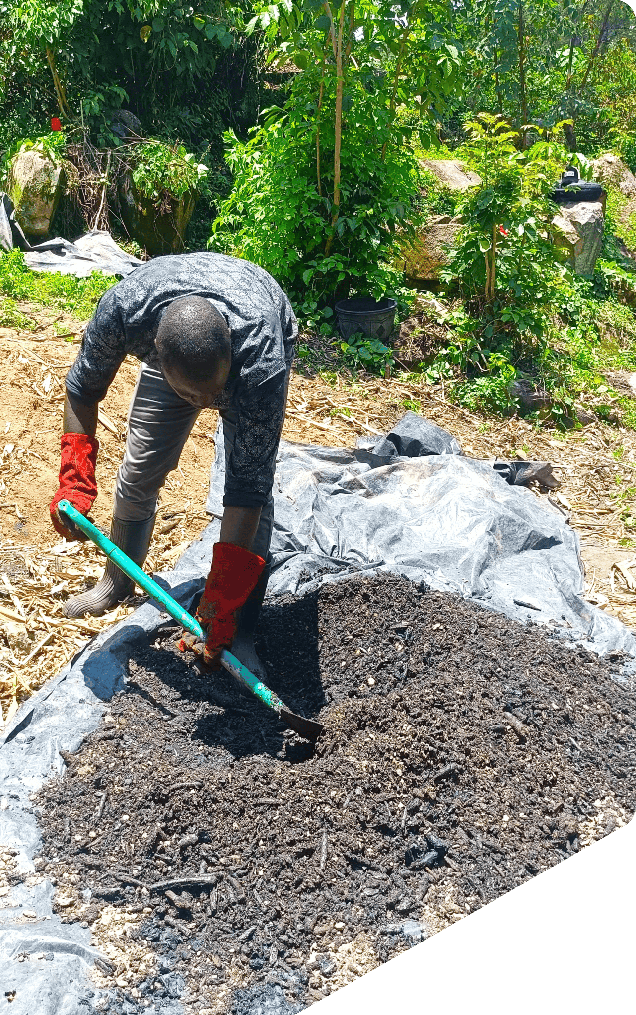Illustration of a farm with green fields
