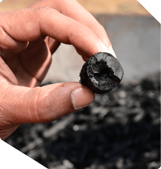 Earn new income while regenerating your land