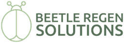 Beetle Regen, Solutions Annual Report
